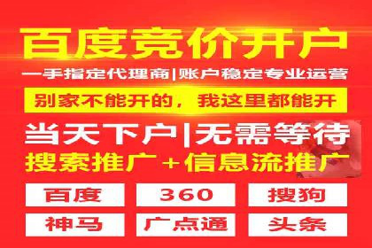 某某sem推广公司实战案例：精准投放提升转化率